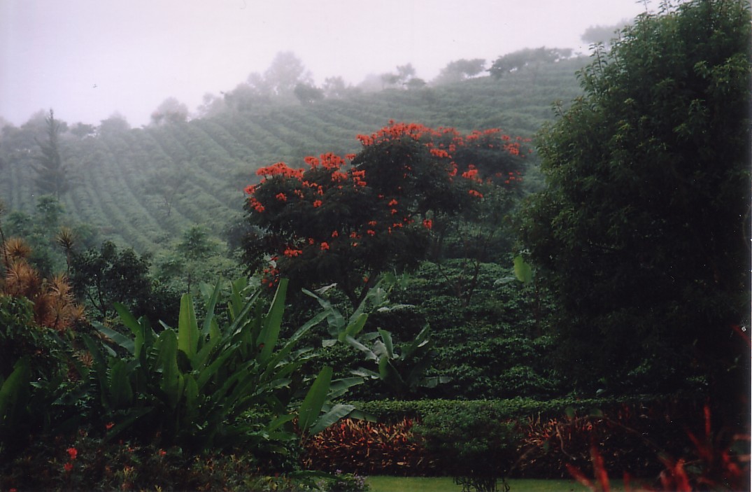 Foto de San José, Costa Rica