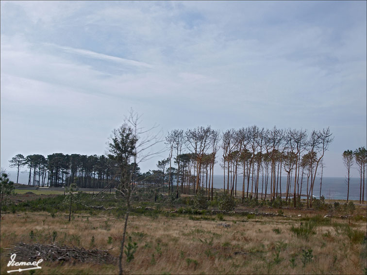 Foto de Muros (A Coruña), España