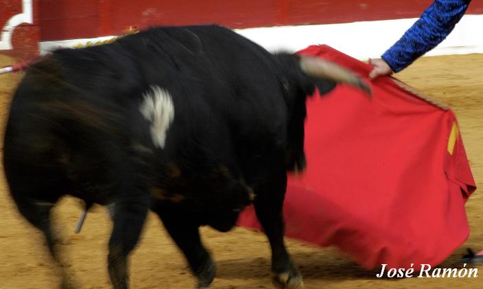 Foto de Jerez de la Frontera (Cádiz), España