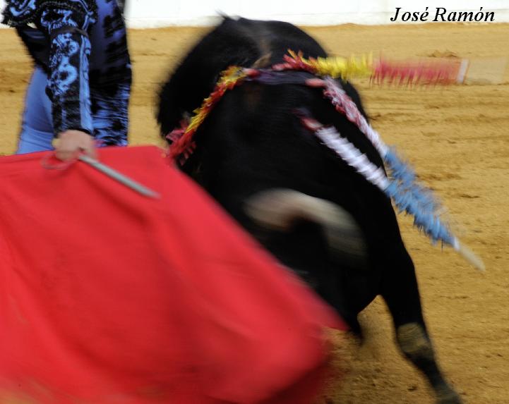 Foto de Jerez de la Frontera (Cádiz), España