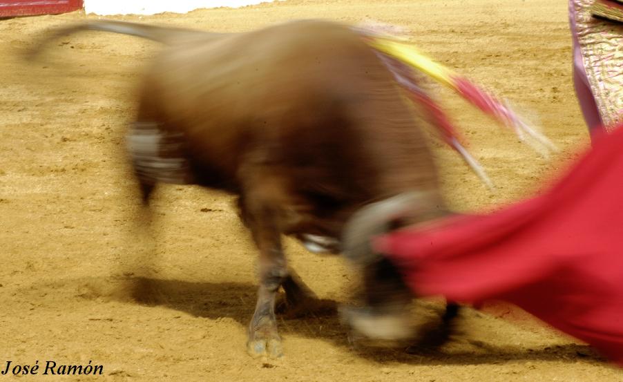 Foto de Jerez de la Frontera (Cádiz), España