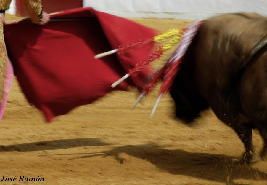 Foto de Jerez de la Frontera (Cádiz), España