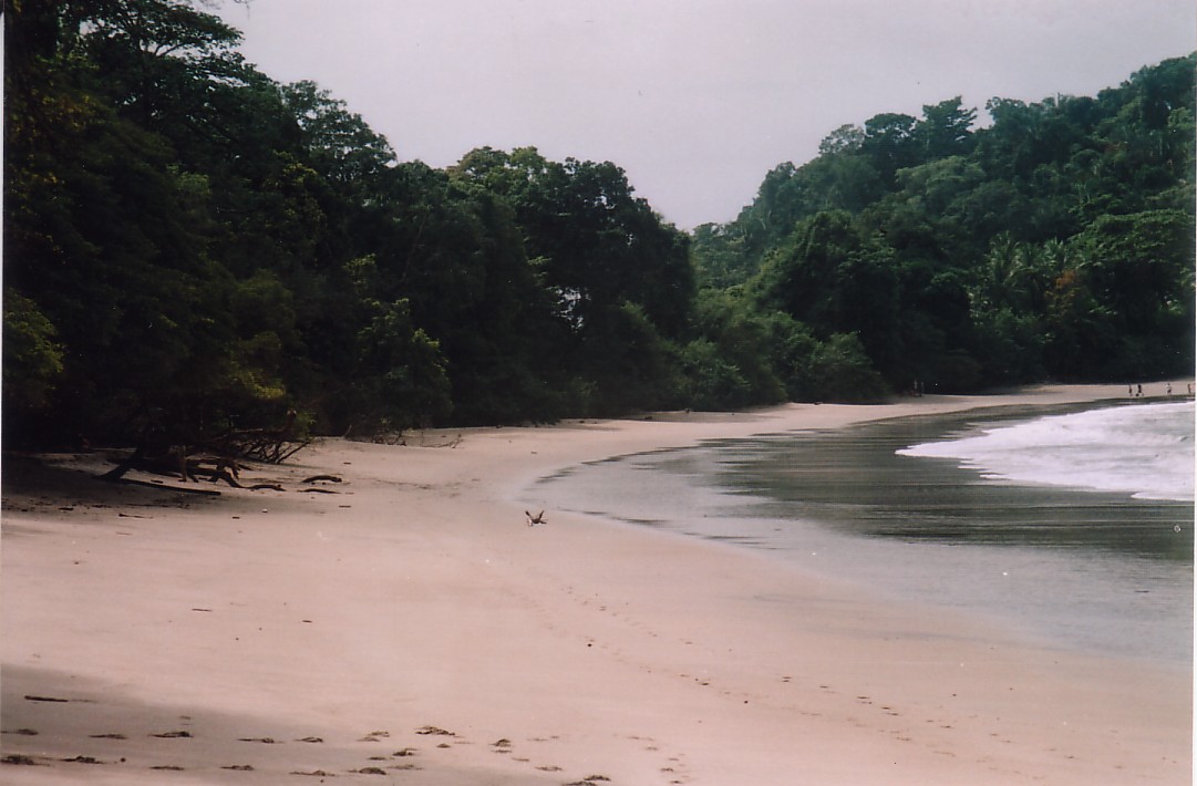 Foto de Quepos, Costa Rica