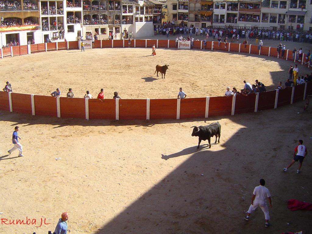 Foto de Peñafiel (Valladolid), España