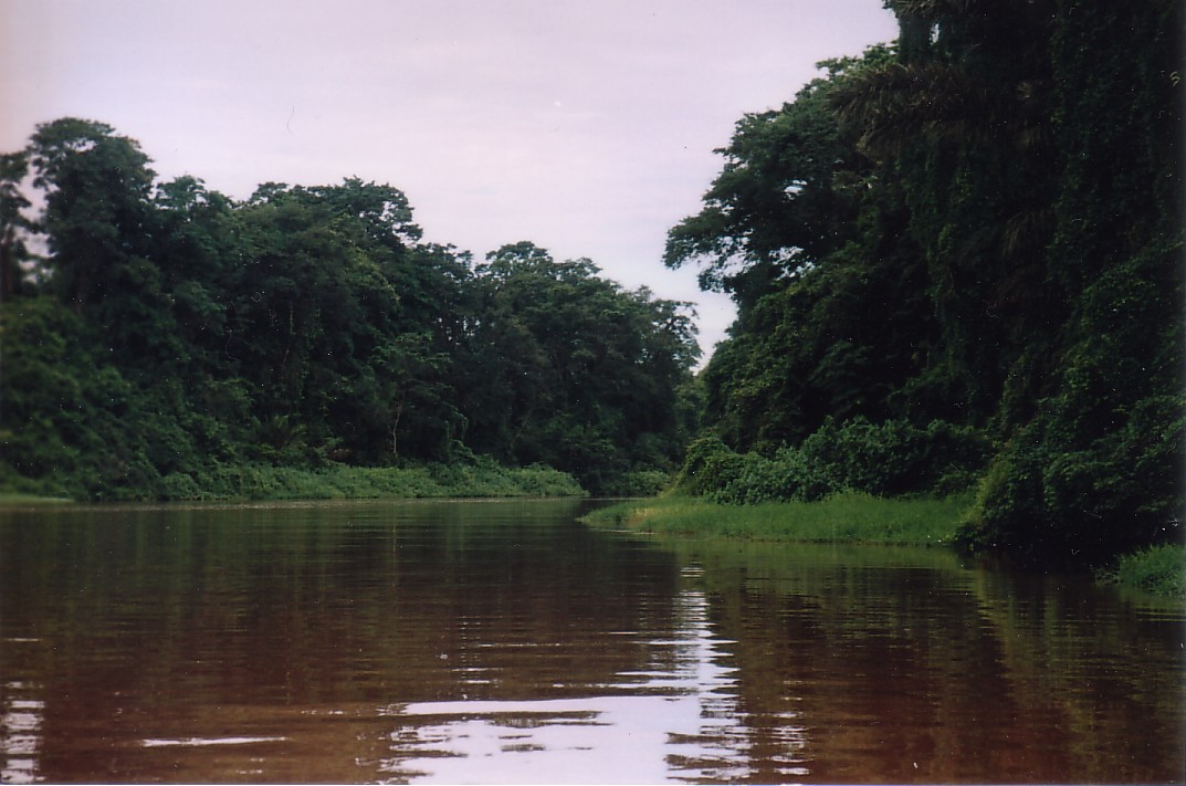 Foto de Tortuguero, Costa Rica