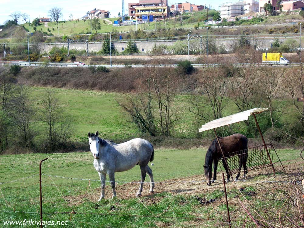 Foto de Oviedo (Asturias), España