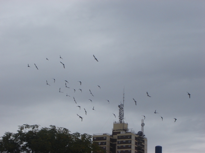 Foto de Buenos Aires, Argentina