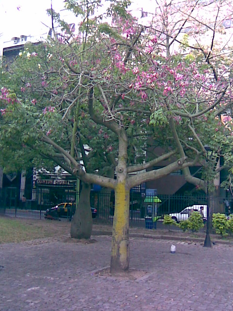 Foto de Buenos Aires, Argentina