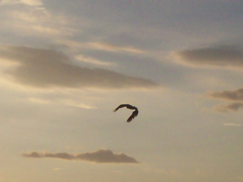 Foto de Puntarenas, Costa Rica