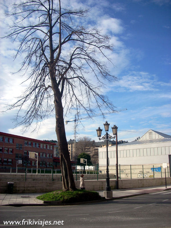 Foto de Oviedo (Asturias), España