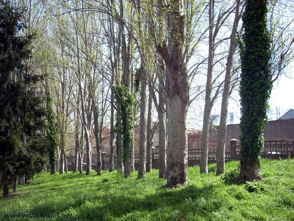 Foto de Oviedo (Asturias), España