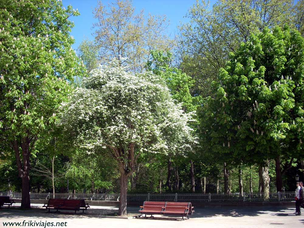 Foto de Oviedo (Asturias), España