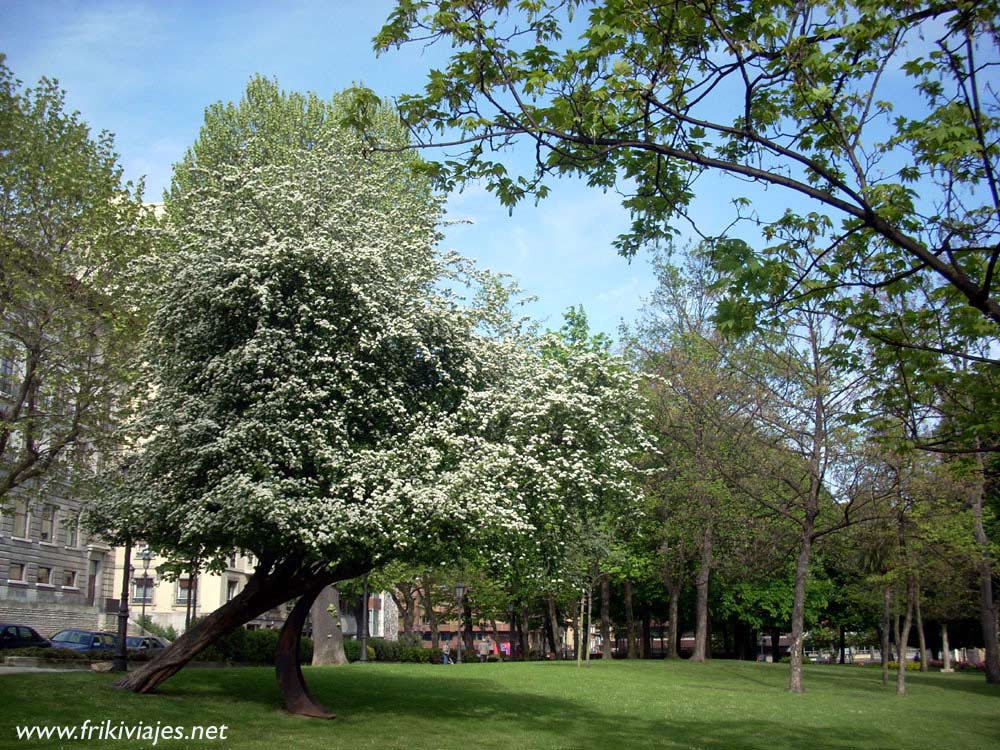 Foto de Oviedo (Asturias), España