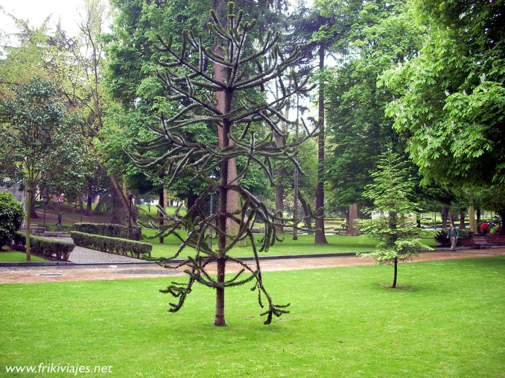 Foto de Oviedo (Asturias), España