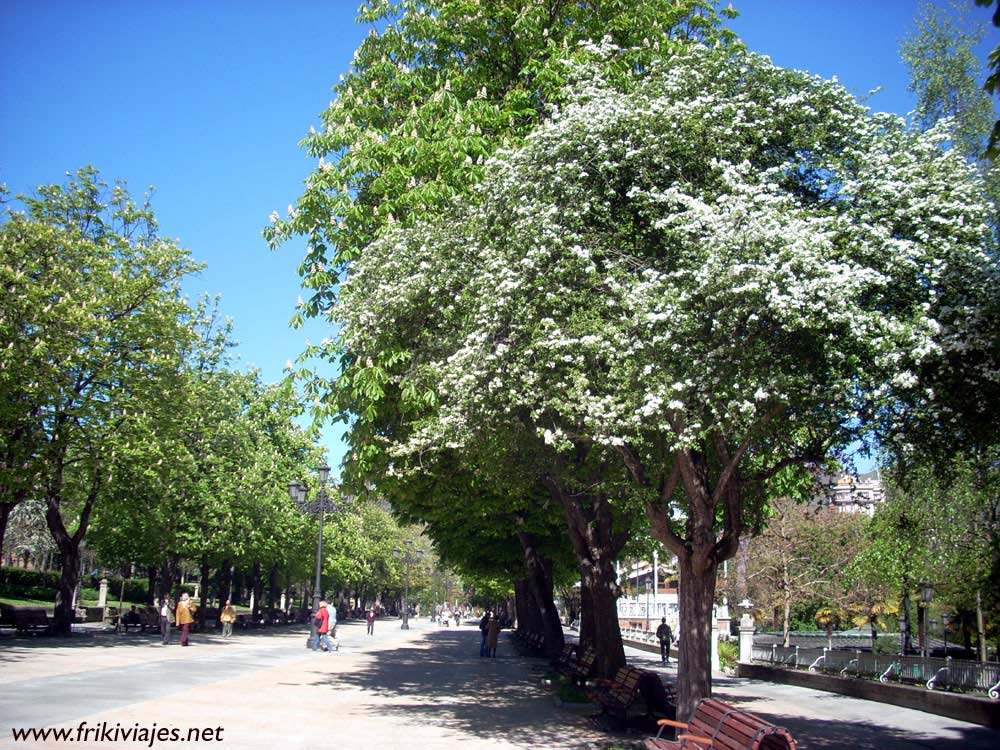 Foto de Oviedo (Asturias), España