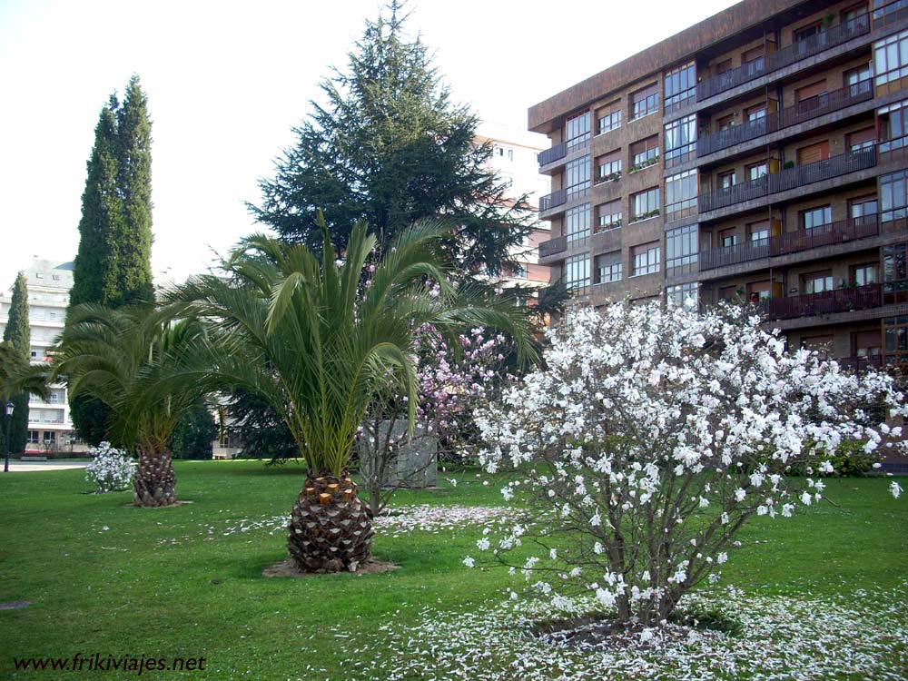 Foto de Oviedo (Asturias), España