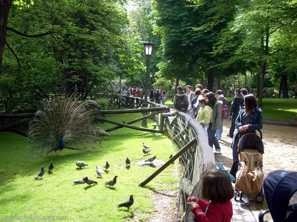 Foto de Oviedo (Asturias), España