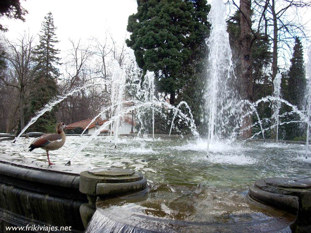 Foto de Oviedo (Asturias), España