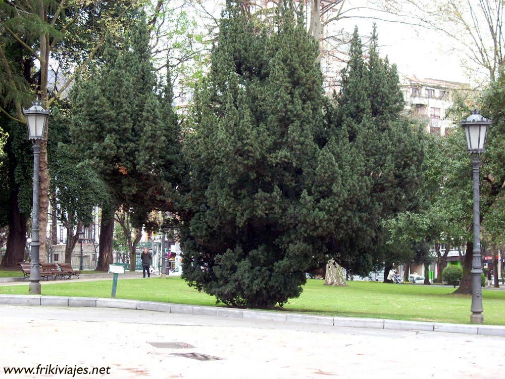 Foto de Oviedo (Asturias), España