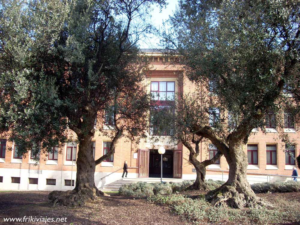 Foto de Oviedo (Asturias), España