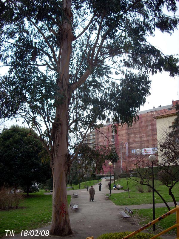 Foto de Oviedo (Asturias), España