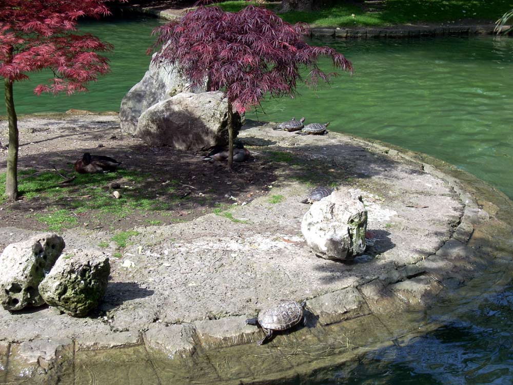 Foto de Oviedo (Asturias), España