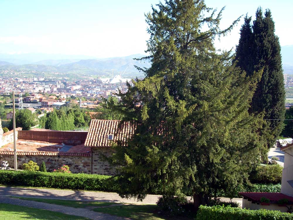 Foto de Oviedo (Asturias), España