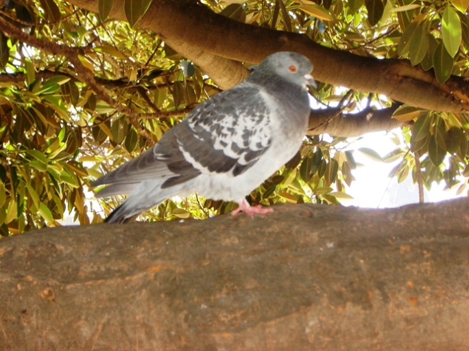 Foto de Buenos Aires, Argentina