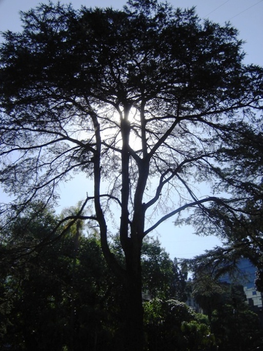 Foto de Buenos Aires, Argentina