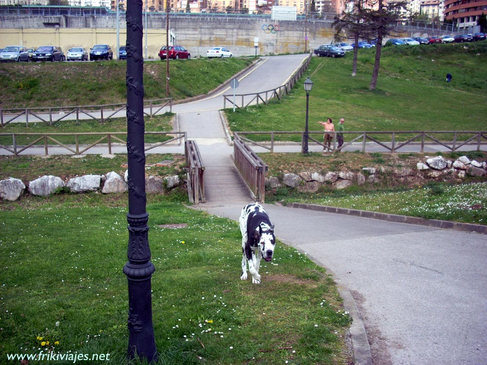 Foto de Oviedo (Asturias), España