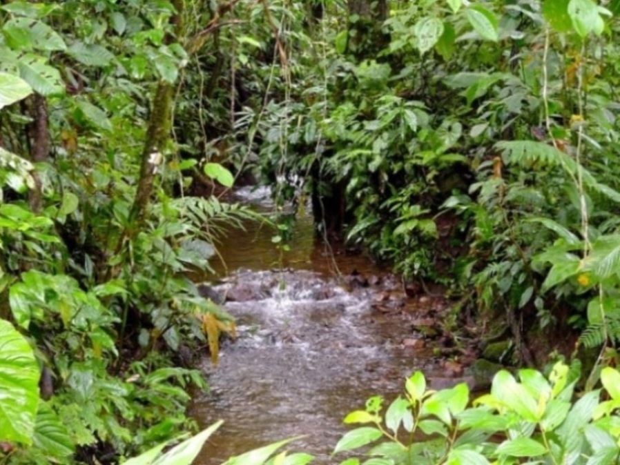 Foto de Cartago, Costa Rica