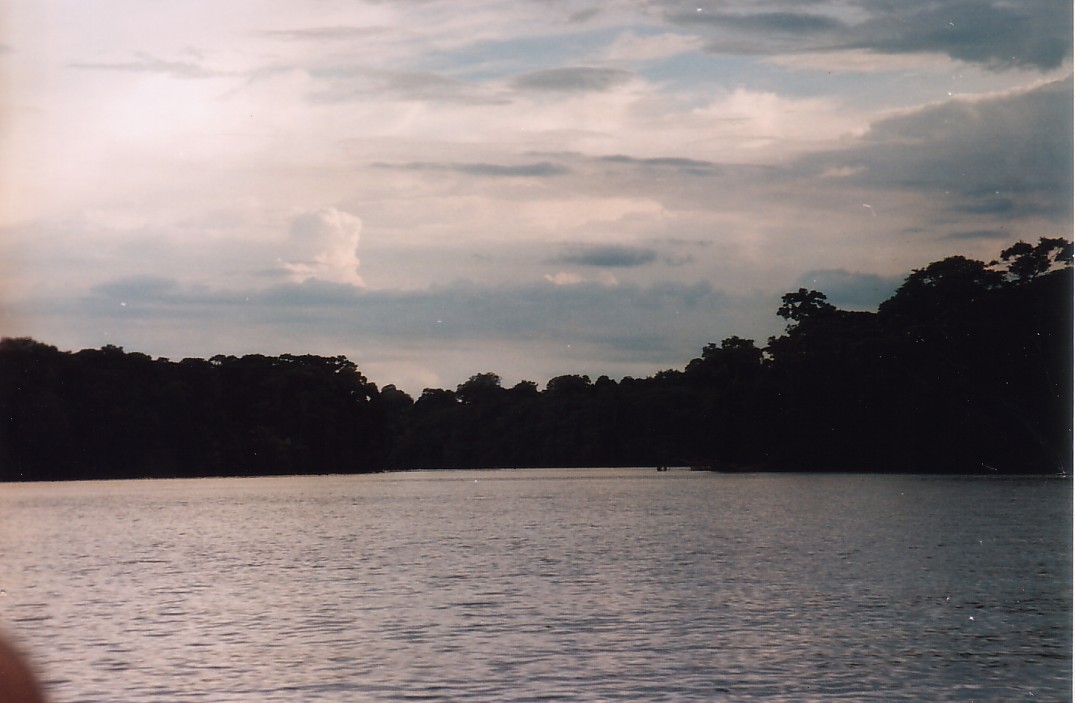 Foto de Tortuguero, Costa Rica