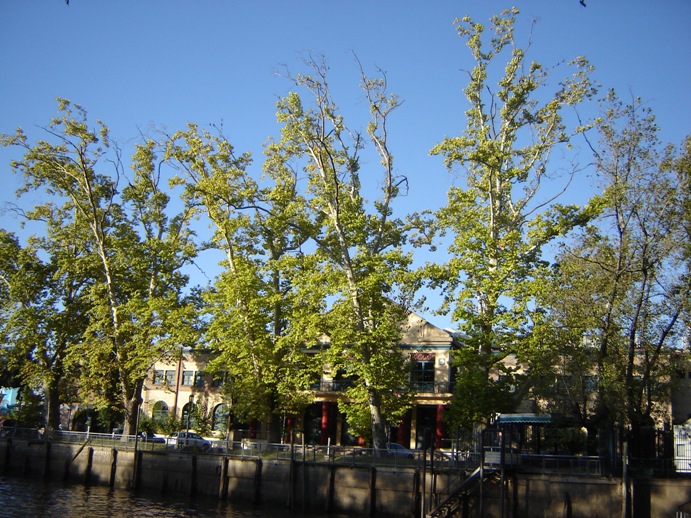 Foto de Tigre, Buenos Aires, Argentina