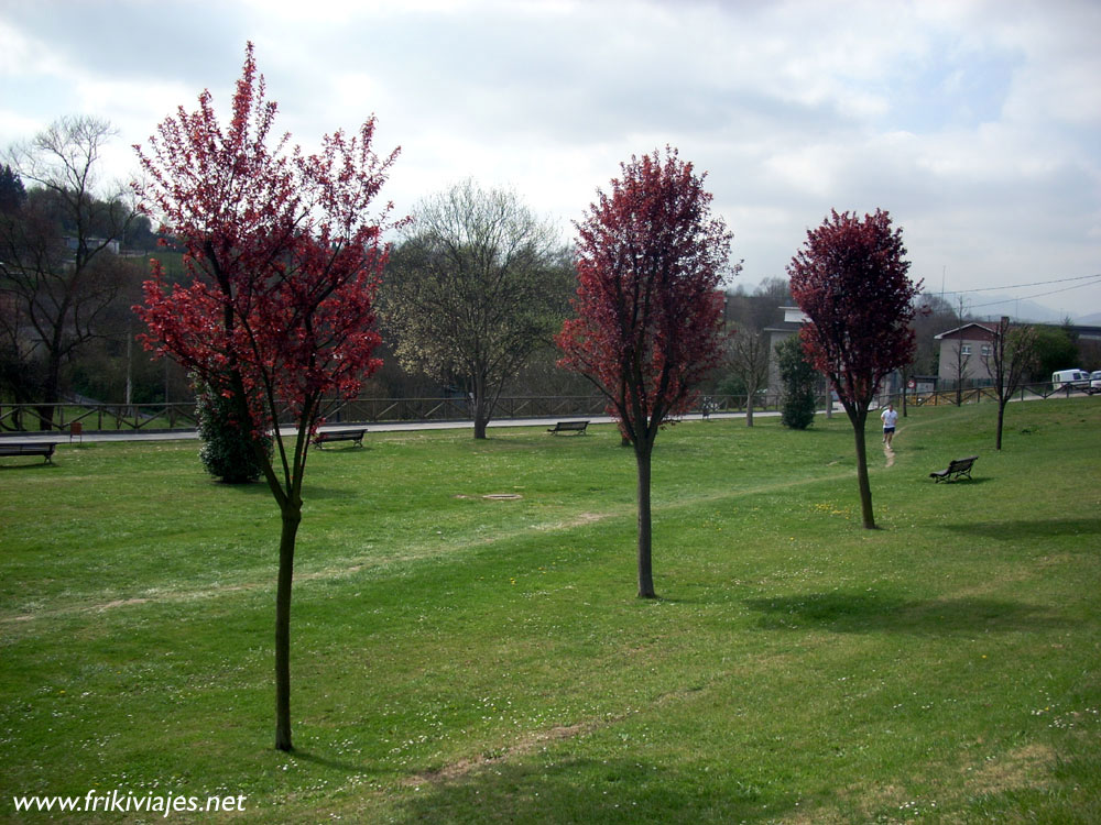 Foto de Oviedo (Asturias), España