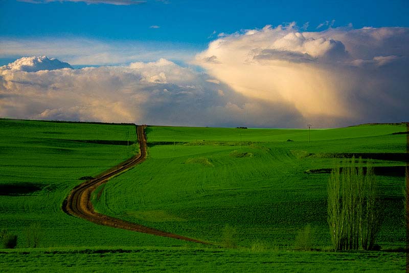 Foto de Palacios del Alcor (Palencia), España