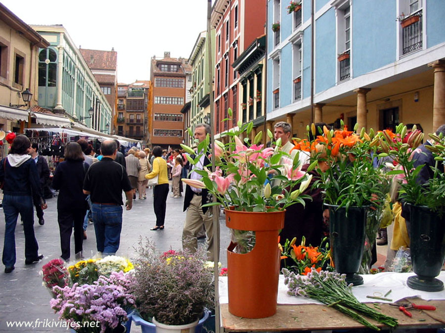 Foto de Oviedo (Asturias), España