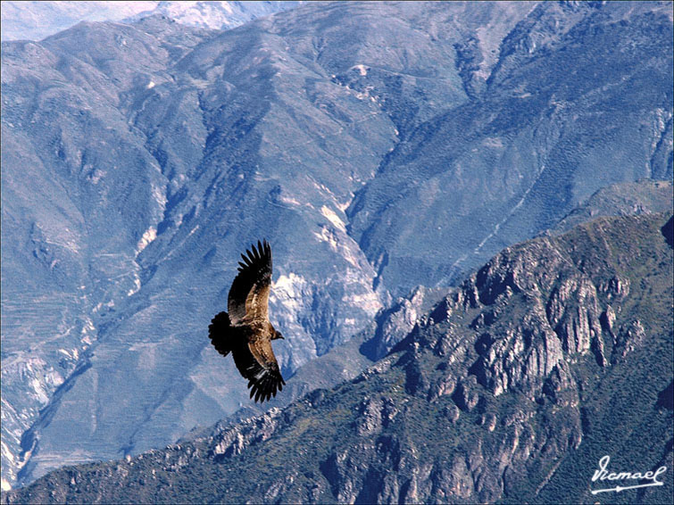 Foto de Colca, Perú