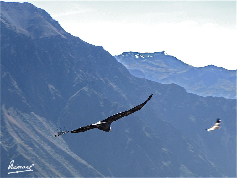 Foto de Colca, Perú