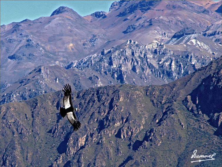 Foto de Colca, Perú