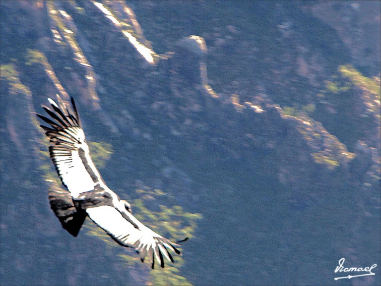 Foto de Colca, Perú