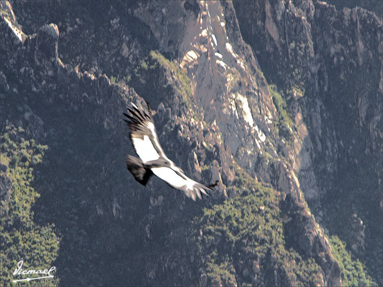 Foto de Colca, Perú