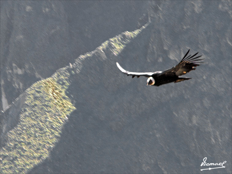 Foto de Colca, Perú