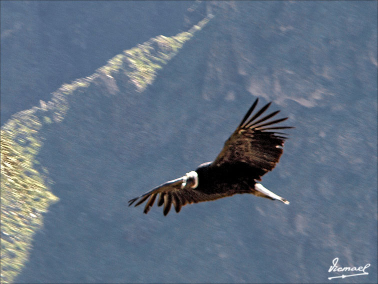 Foto de Colca, Perú