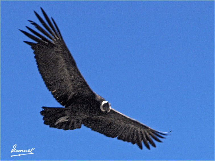 Foto de Colca, Perú