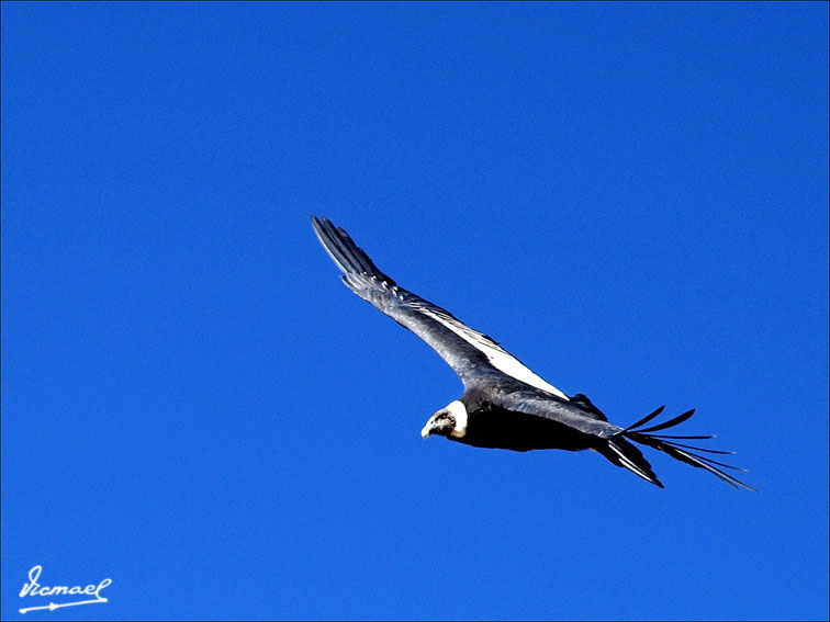 Foto de Colca, Perú