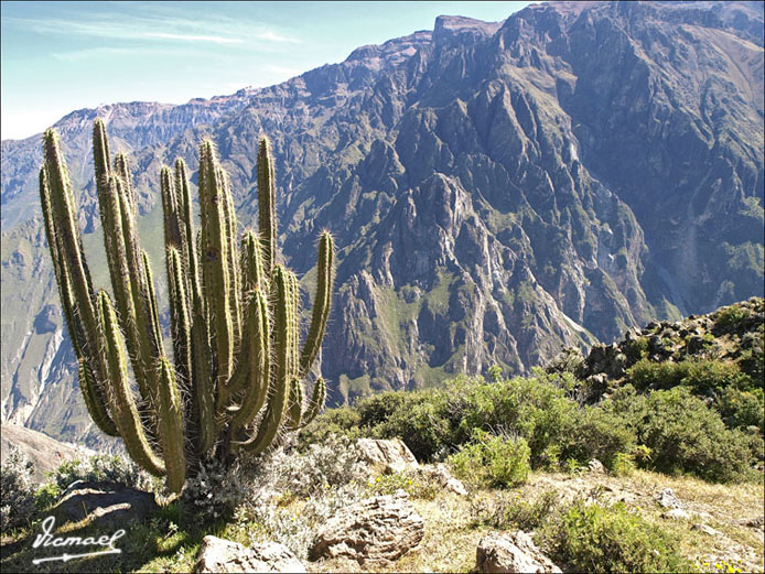 Foto de Colca, Perú