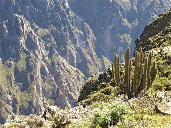 Foto de Colca, Perú