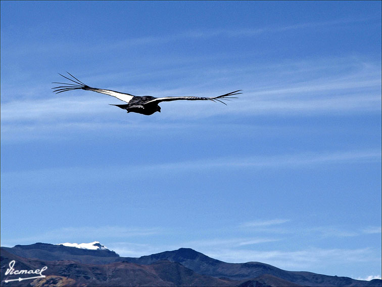 Foto de Colca, Perú