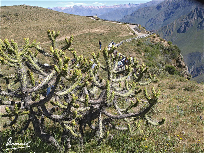 Foto de Colca, Perú