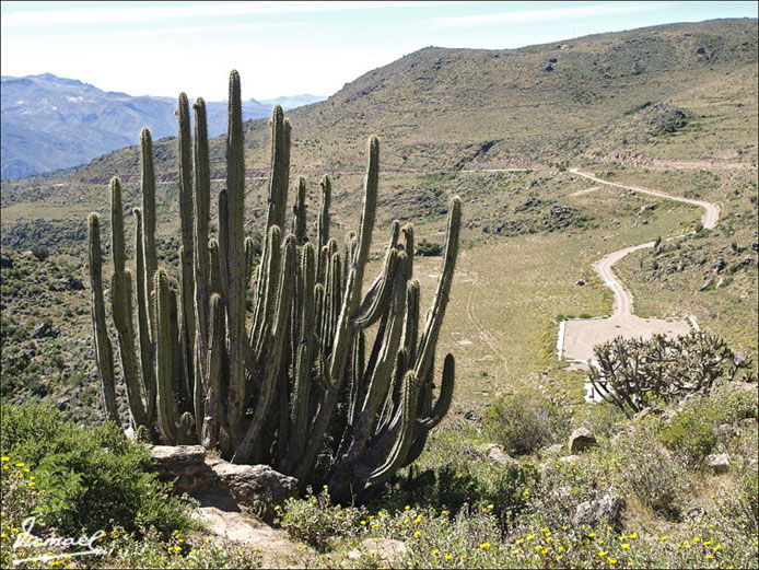 Foto de Colca, Perú